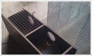 安平大偉網業 安平水貂籠子 絲網制品金屬絲網廠_五金、工具_世界工廠網